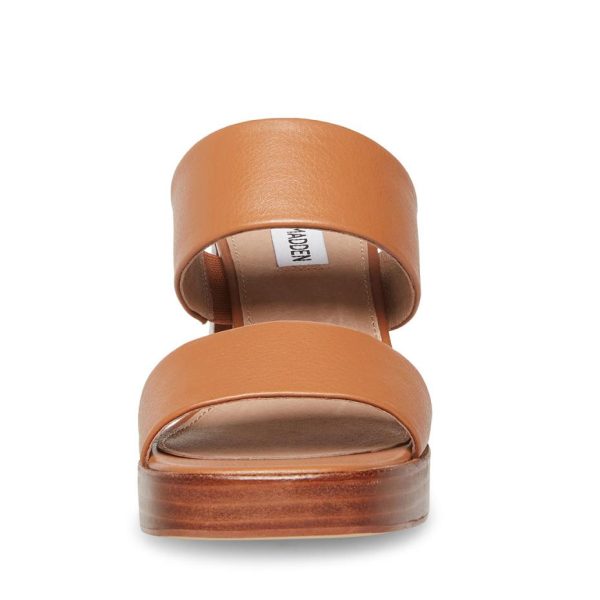 Vastsky.shop390998da93 3