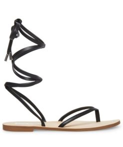 Vastsky.shop456cb68246 1