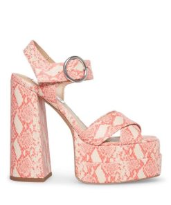 Vastsky.shop9bbf860ee3 1