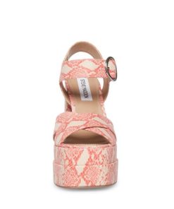 Vastsky.shop9bbf860ee3 3