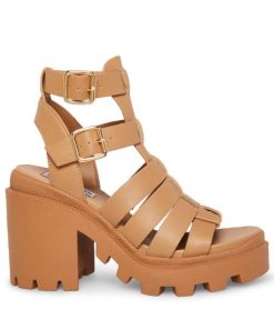 Vastsky.shopcbace04661 1