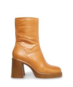 Vastsky.shopccd685cf64 1