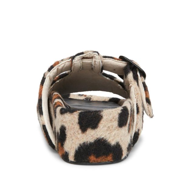 Vastsky.shope6043c818d 5